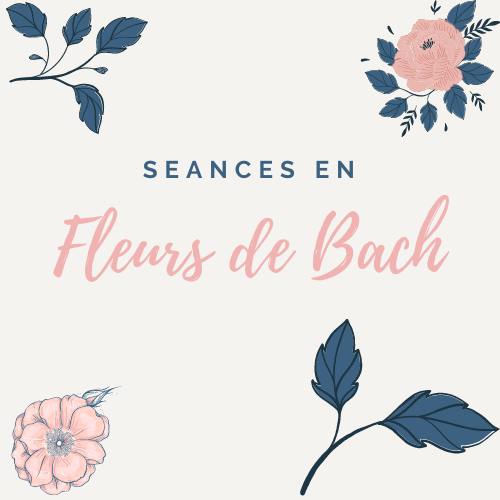 Osaura - Fleur de Bach, Lithothérapie, radiesthésie, guidances, bijoux à Pia