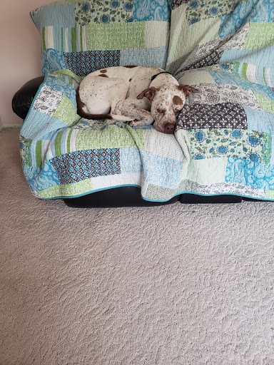 Hardware Store «Great Lakes Ace Hardware», reviews and photos, 15819 Southfield Rd, Allen Park, MI 48101, USA