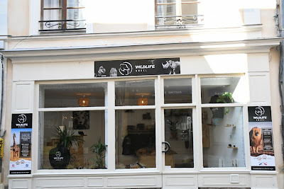 Wildlife Angel Shop à La Flèche