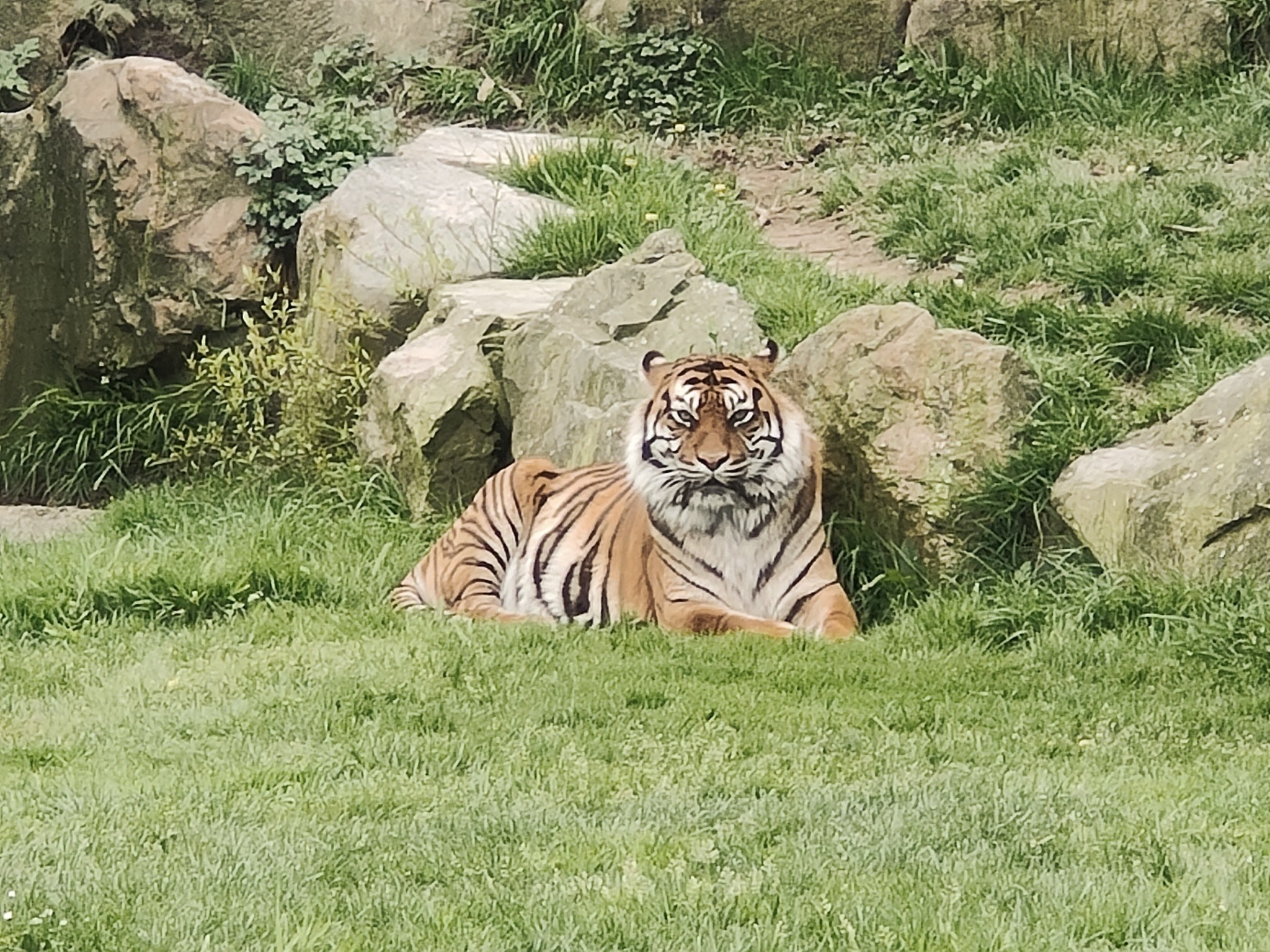 Photo n° 4 de l'avis de Ophelie.a fait le 18/04/2023 à 22:01