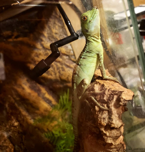 Pet Supply Store «Pets A Plenty», reviews and photos, 3925 NY-281, Cortland, NY 13045, USA