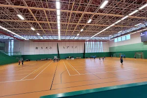 Sports Hall Koldům image
