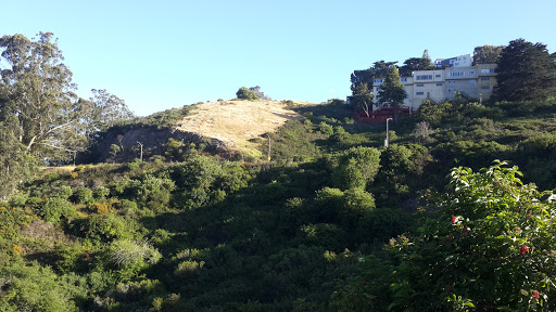 Park «Glen Canyon Park», reviews and photos, Elk St and Chenery St, San Francisco, CA 94127, USA