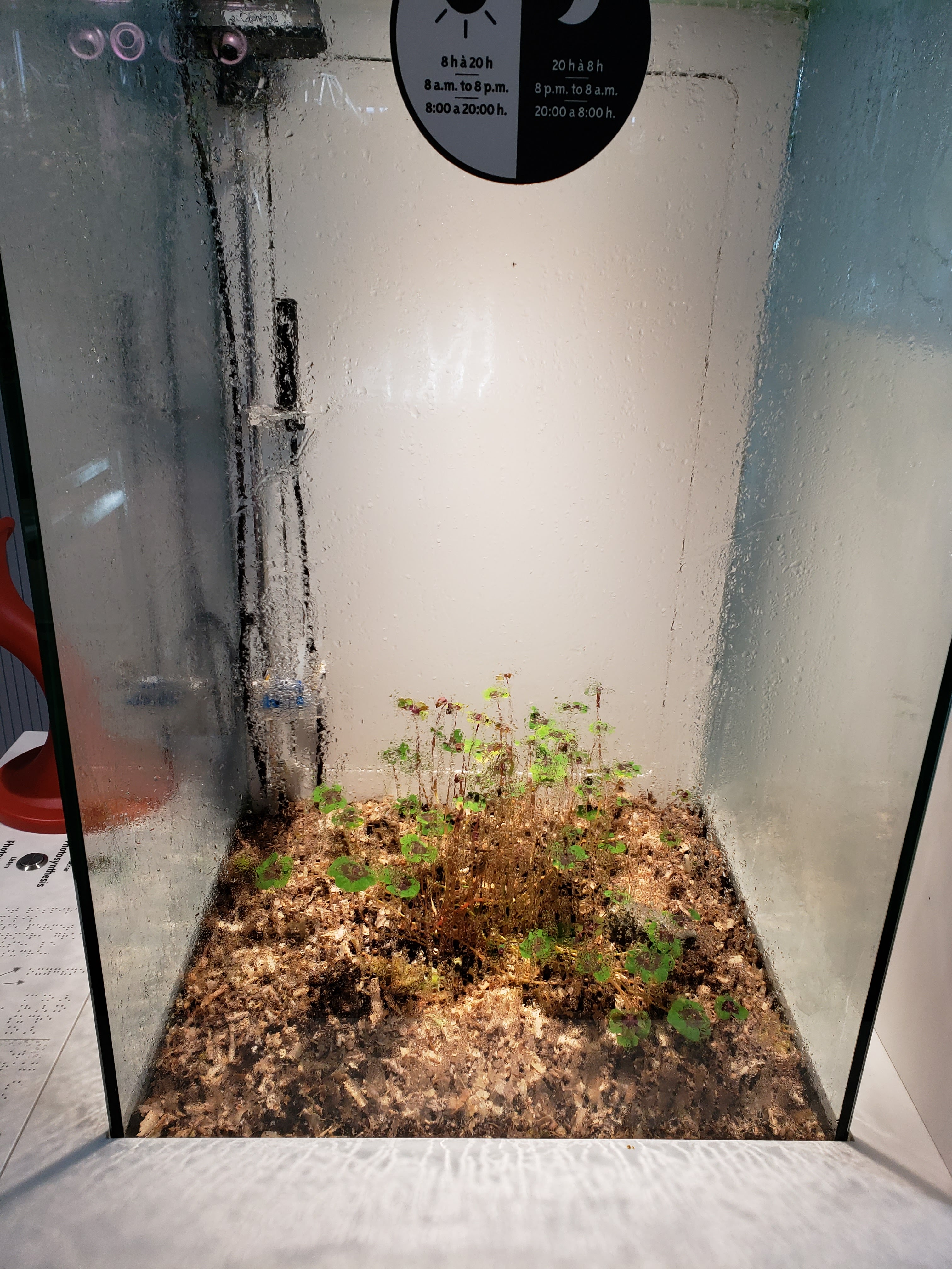 Photo n° 35 de l'avis de Gui.9 fait le 06/11/2021 à 18:36