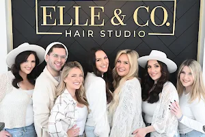 ELLE & CO. HAIR STUDIO image
