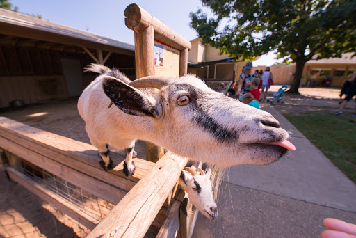 Zoo «Gulf Breeze Zoo», reviews and photos, 5701 Gulf Breeze Pkwy, Gulf Breeze, FL 32563, USA