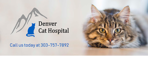 Denver Cat Hospital image