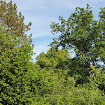 Photo n°1 de l'avis de Carsten.c fait le 12/09/2017 à 04:52 sur le  Gasthof Stumpf à Embsen