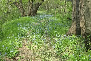 Tosanak Recreation Area image