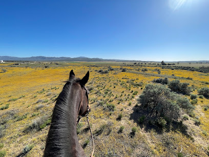 Anza Lions Minor Horse Arena