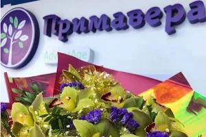 Tsentr Endokrinnogo Zdorov'ya I Reproduktsii "Primavera" image