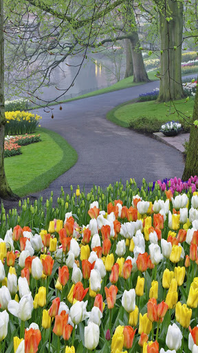 Dollar Store «FAMILY DOLLAR», reviews and photos, 601 SW 187th Ave, Homestead, FL 33030, USA