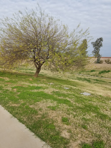 Stadium «University of Phoenix Stadium», reviews and photos, 1 Cardinals Dr, Glendale, AZ 85305, USA