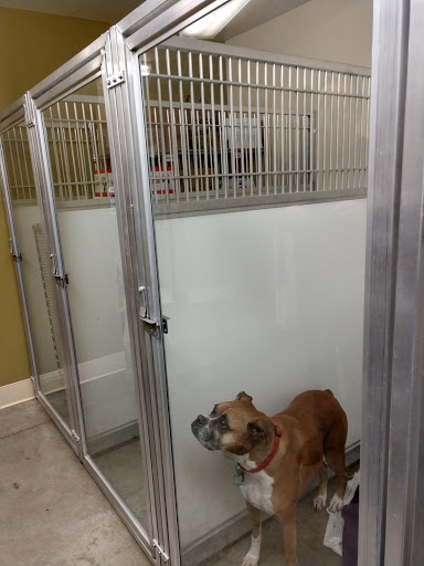 Healdsburg Veterinary Hospital image