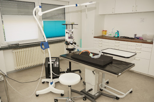Kleintierpraxis Dr. Birgit Weigl unter Vilseck, Bayern