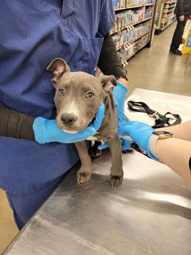 Pet Supply Store «Pet Supplies Plus», reviews and photos, 126 E Main St, Smithtown, NY 11787, USA