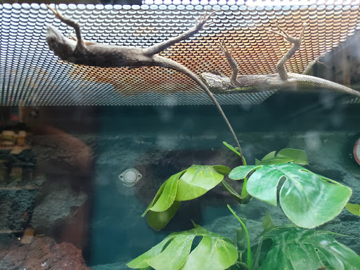 Pet Supply Store «Petco Animal Supplies», reviews and photos, 1483 NJ-23 #14b, Kinnelon, NJ 07405, USA