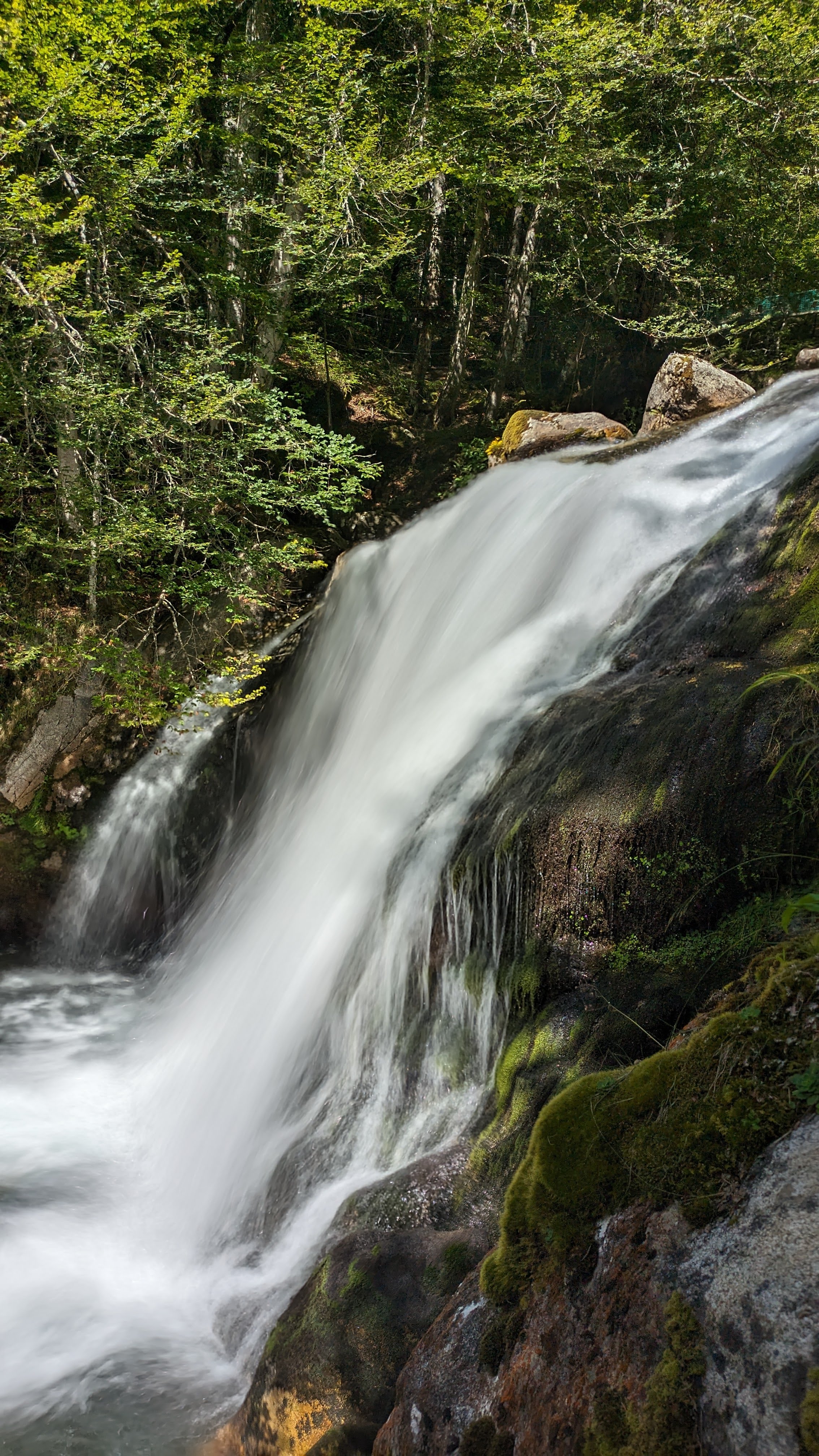 Photo n° 16 de l'avis de Dada.e fait le 15/08/2023 à 12:32