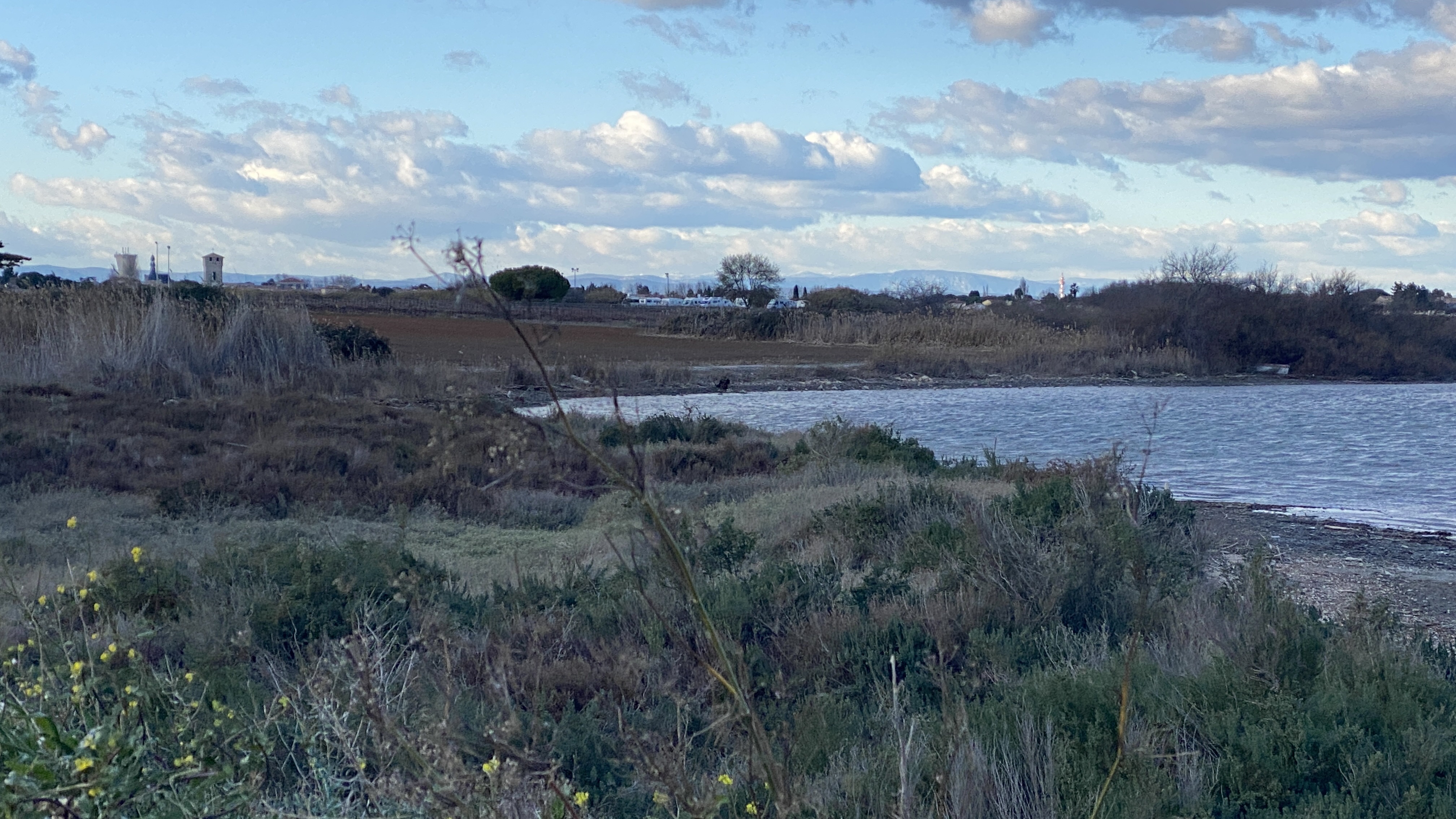 Photo n° 2 de l'avis de severine.e fait le 21/01/2023 à 18:01