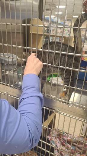 Pet Supply Store «PetSmart», reviews and photos, 14420 Farm to Market 2920, Tomball, TX 77377, USA