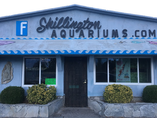 Shillington Aquariums