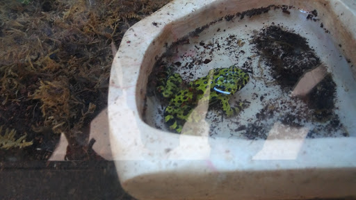 Pet Supply Store «Petco Animal Supplies», reviews and photos, 6418 S Staples St b, Corpus Christi, TX 78413, USA