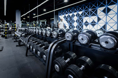 Rootz Fitness - Al Hamra Center, Block B, M Floor Electra Street - Abu Dhabi - United Arab Emirates