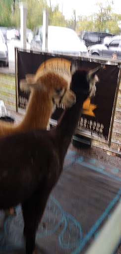 Produce Market «Douglass Loop Farmers Market», reviews and photos, 2005 Douglass Blvd, Louisville, KY 40205, USA