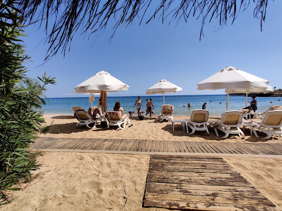 Concorde Beach