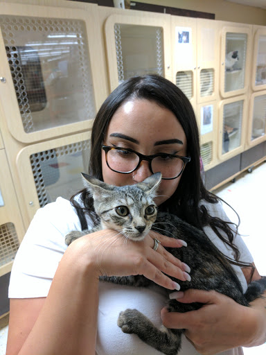 Pet Supply Store «Petco Animal Supplies», reviews and photos, 30 Veterans Memorial Hwy, Commack, NY 11725, USA