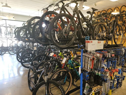 Bicycle Store «Velo City Cycles», reviews and photos, 326 S River Ave, Holland, MI 49423, USA