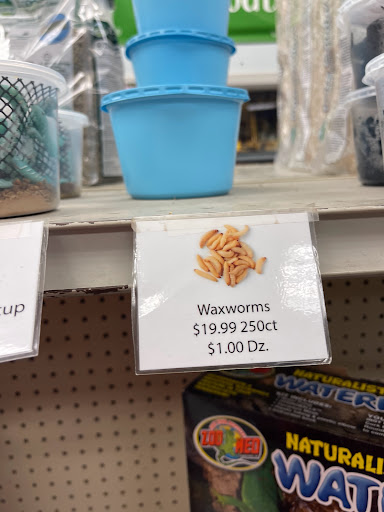 Pet Store «Animal Ark», reviews and photos, 2730 Brookdale Dr, Kingwood, TX 77339, USA