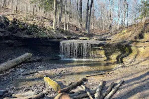 Waterfall Trail, Settlers Cabin Park image