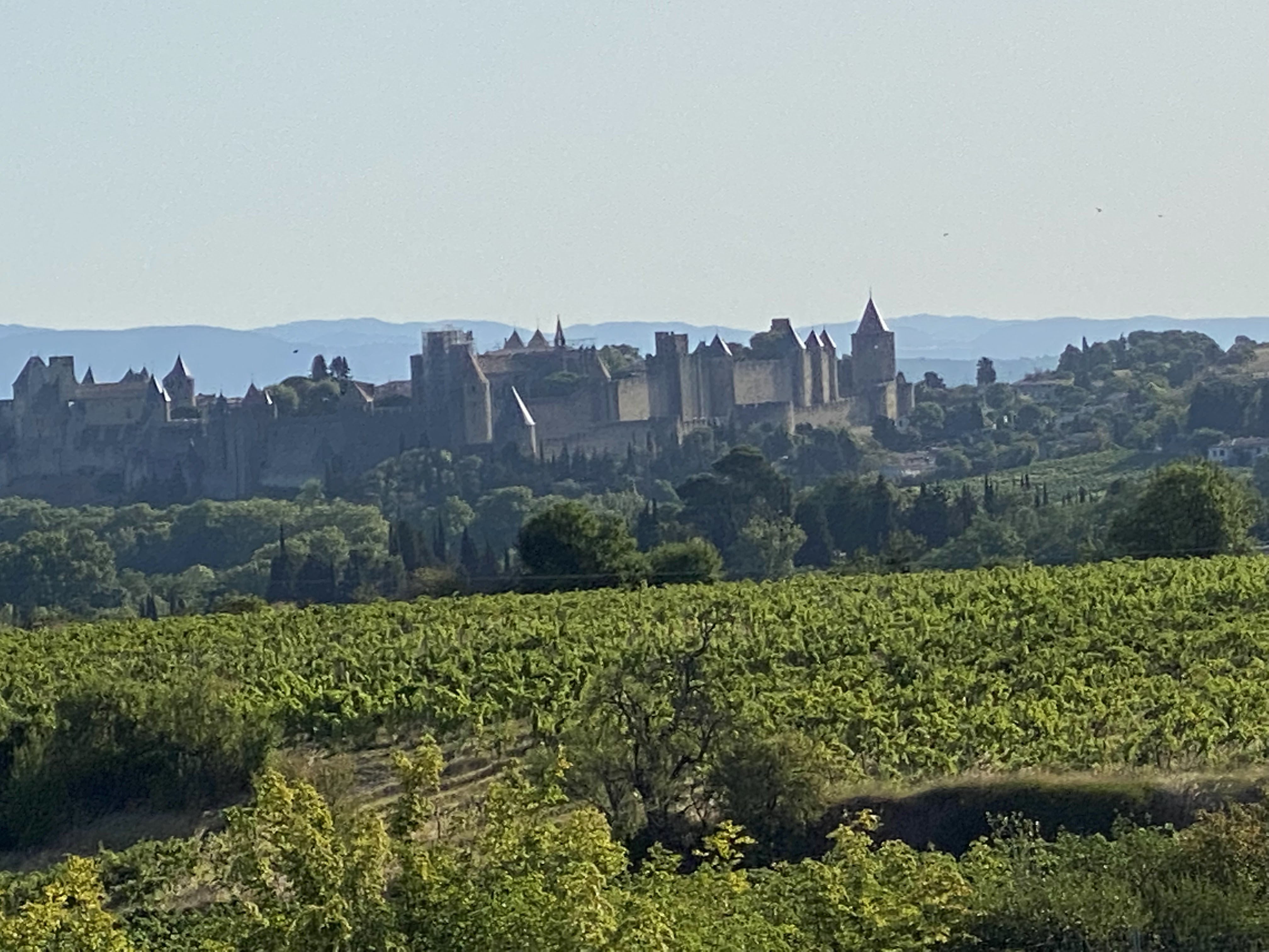 Photo n° 5 de l'avis de Denis.u fait le 09/08/2021 à 20:31
