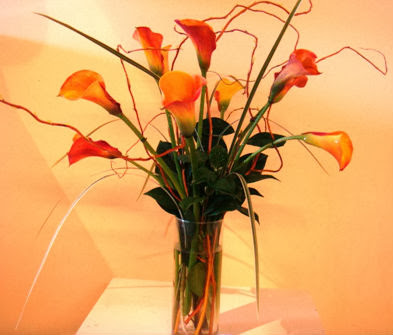 Florist «Houston Medical Center Florist», reviews and photos, 7127 Fannin St, Houston, TX 77030, USA