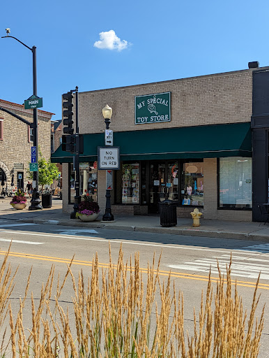 Toy Store «My Special Toy Store», reviews and photos, 5137 Main St, Downers Grove, IL 60515, USA