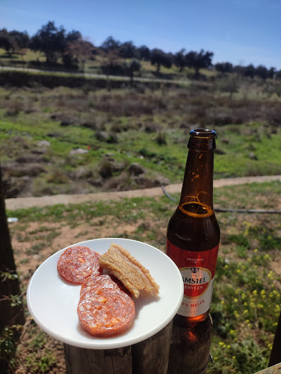 Bar La Ermita en Córdoba>


<h2 class=