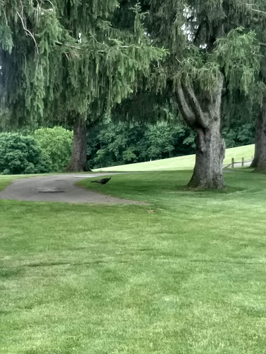 Public Golf Course «Denison Golf Club at Granville», reviews and photos, 555 Newark Granville Rd, Granville, OH 43023, USA