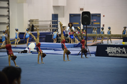 Gym «Coral Springs Gymnasium», reviews and photos, 2501 Coral Springs Dr, Coral Springs, FL 33065, USA