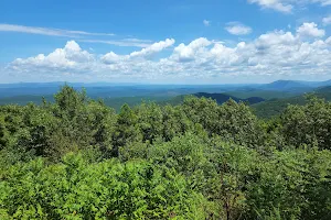 Ouachita National Forest image