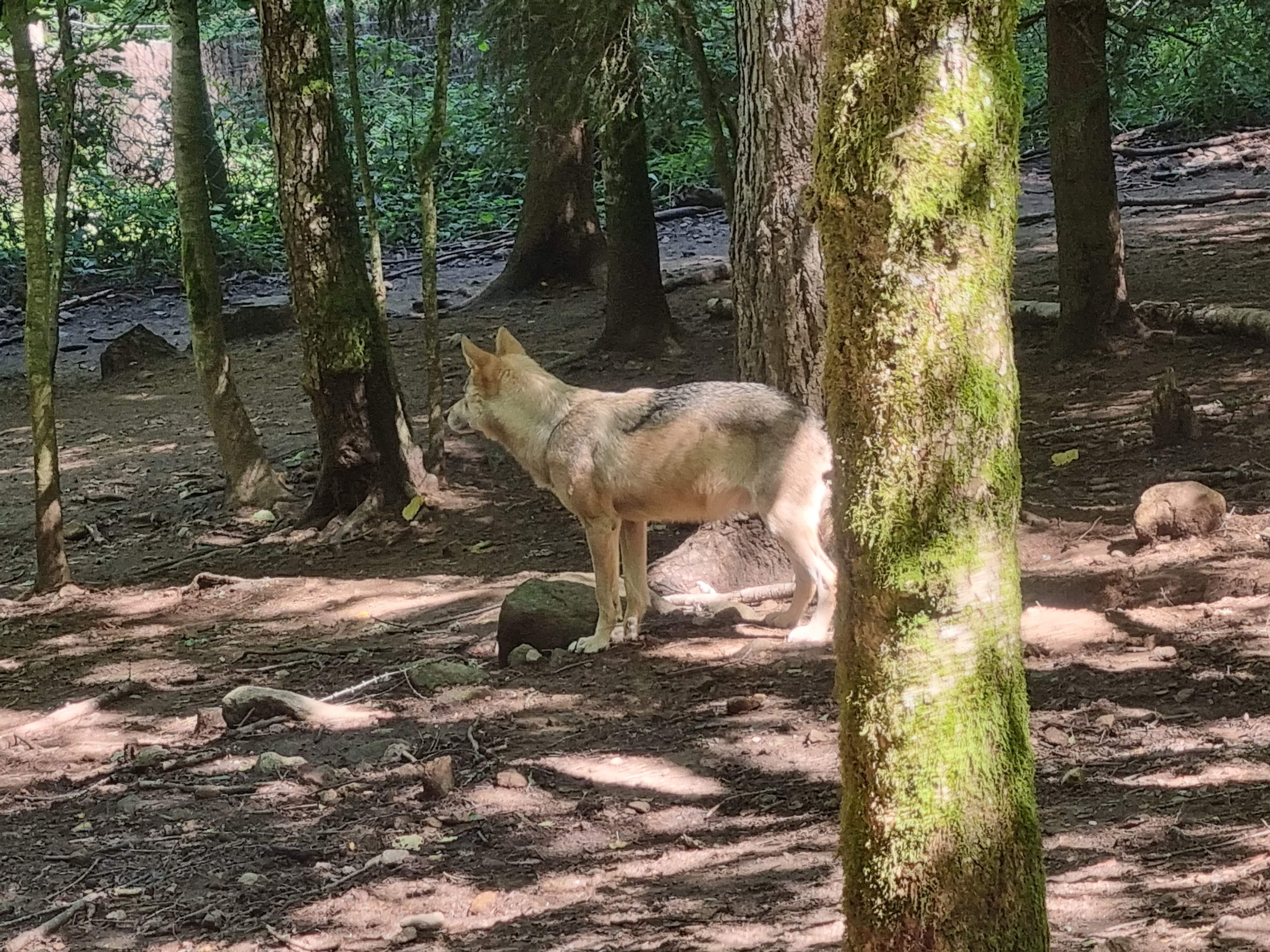 Photo n° 7 de l'avis de Laetitia.a fait le 27/08/2022 à 15:00