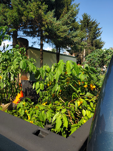 Florist «Little Brook Orchids», reviews and photos, 25 Rider Ave, Lancaster, PA 17603, USA