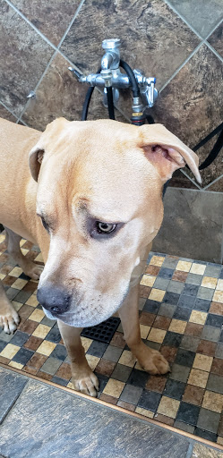 Pet Store «Pet Valu», reviews and photos, 374 Walmart Dr, Camden, DE 19934, USA