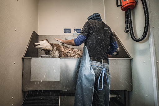 Pet Supply Store «Pet Food Warehouse», reviews and photos, 2500 Williston Rd, South Burlington, VT 05403, USA