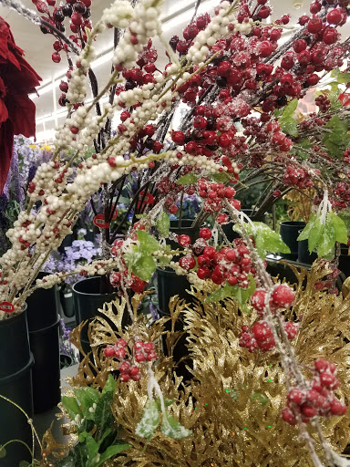 Craft Store «Hobby Lobby», reviews and photos, 1658 Town Square South West, Cullman, AL 35057, USA