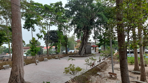 Top 20 cửa hàng ikonic Huyện Thoại Sơn An Giang 2022