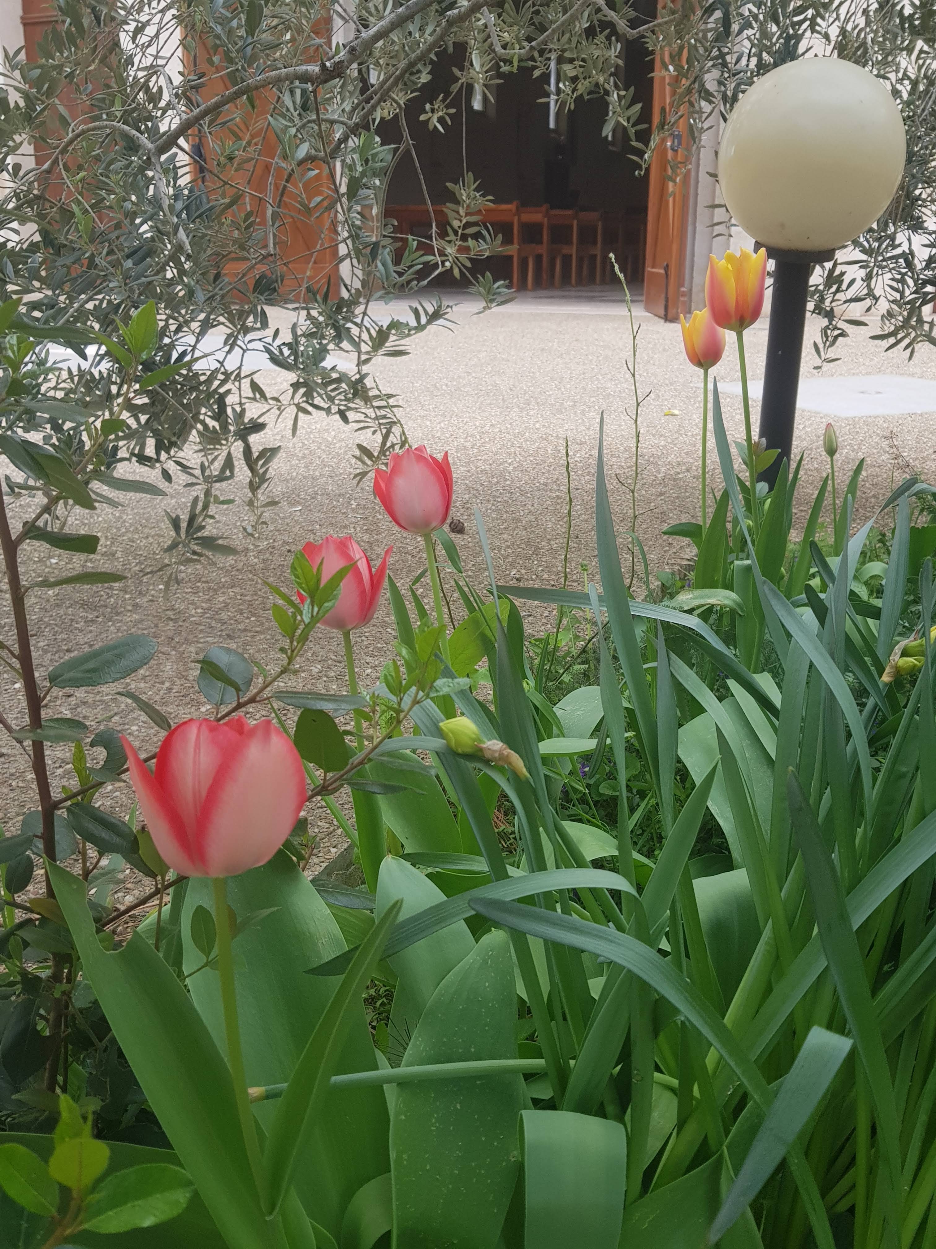 Photo n° 10 de l'avis de Aminmin.a fait le 09/04/2023 à 11:16