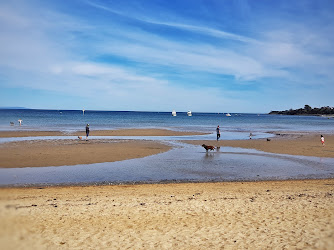 Dog Friendly Beach - Rickett's Point