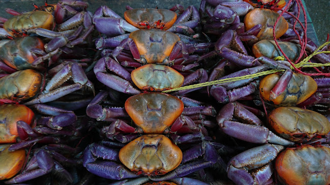 Pescadería Perez "CUMANDA" - Cumandá