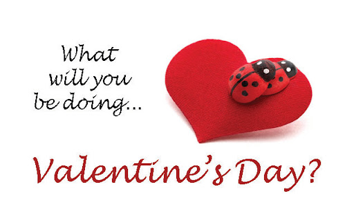 Video Store «Tender Moments LLC», reviews and photos, 1242 SW Pine Island Rd, Cape Coral, FL 33991, USA